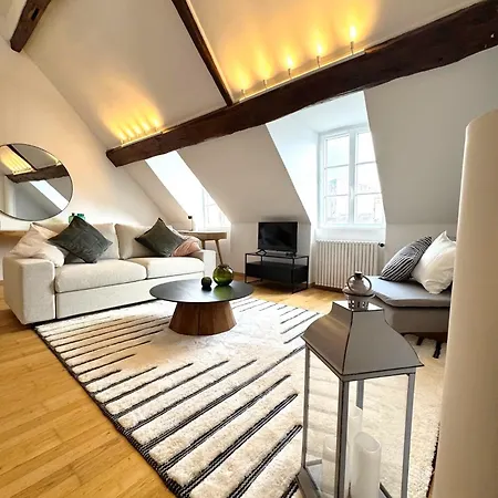 Duplex De Charme Hyper Centre Avec Parking