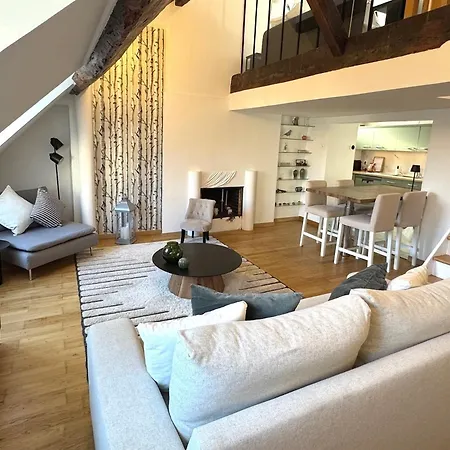 Duplex De Charme Hyper Centre Avec Parking *