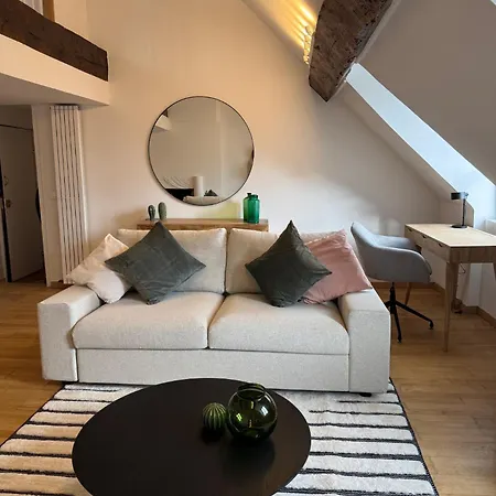 Apartment Duplex De Charme Hyper Centre Avec Parking *